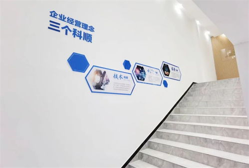 美好升級，煥新品牌 以技術(shù)服務(wù)驅(qū)動企業(yè)轉(zhuǎn)型