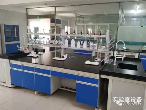 學習專業(yè)技能，提升服務(wù)水平，助力客戶2020再創(chuàng)新高